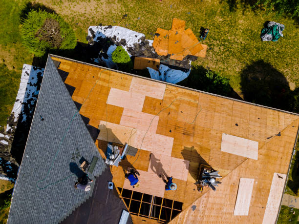 Best Roof Gutter Cleaning  in Bryant, WA