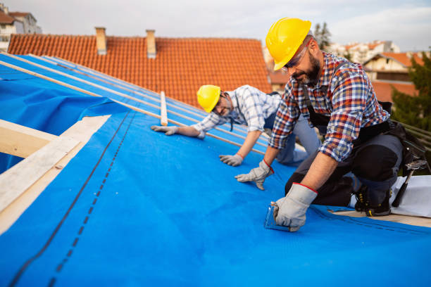 Roof Installation Near Me in Bryant, WA